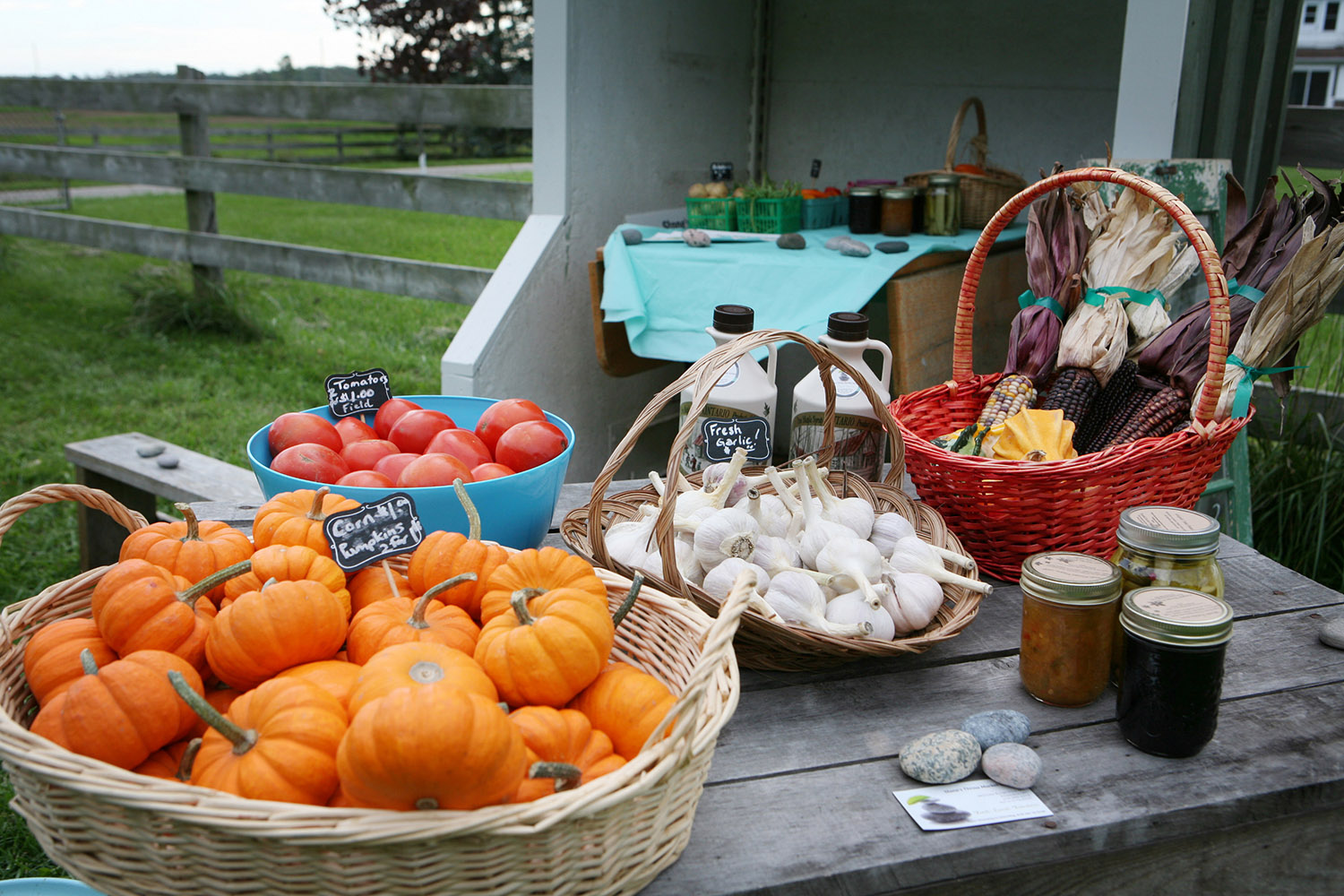 farm gate