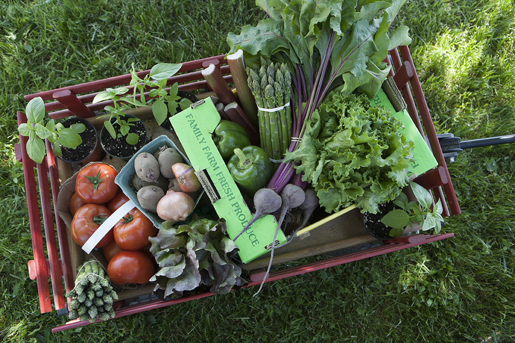 wagon full of vegetables