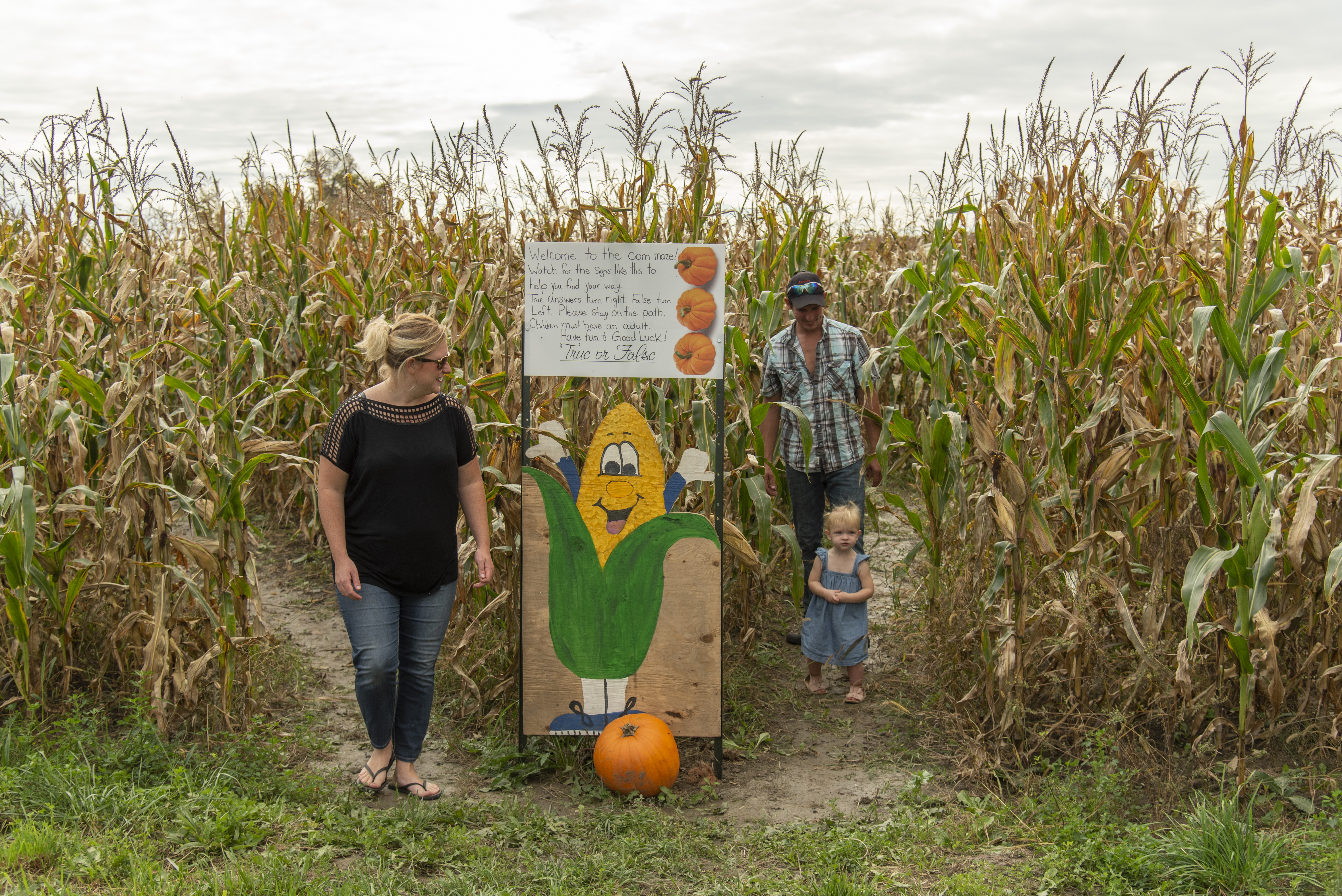 family in a corn maze